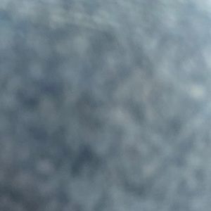 Meet your Posher, Alondra